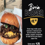 BIRRIA BURGER